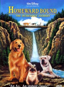 Homeward Bound The Incredible Journey (1993) 2 หมา 1 แมว ใครจะพรากเราไม่ได้