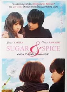 Sugar & Spice (2006) กอดแรกยังซึ้งรักหนึ่งยังจำ