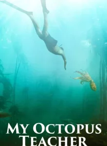 My Octopus Teacher | Netflix (2020) บทเรียนจากปลาหมึก