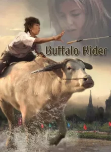 Buffalo Rider (2015) ประเพณีวิ่งควาย