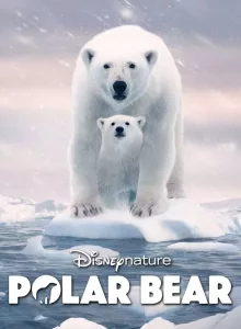 Polar Bear (2022) พากย์ไทย